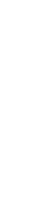 Left Decorative Shape