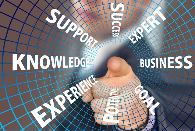 Consulting Services